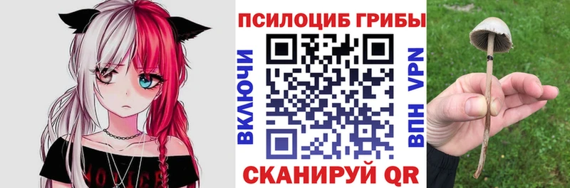 Купить Питкяранта Галлюциногенные грибы мухоморы