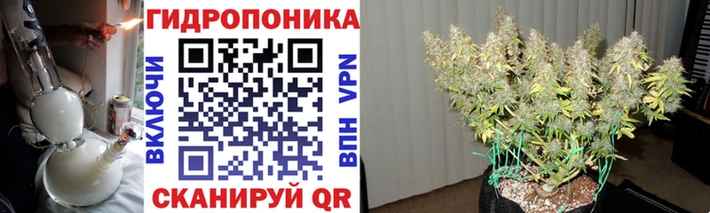 Марихуана конопля Купить закладки Питкяранта